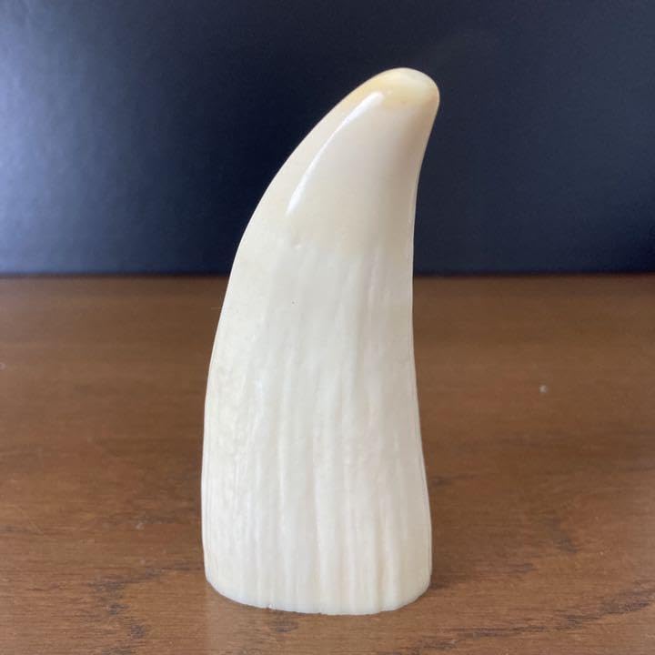 鯨歯 マッコウ鯨の歯 馬 置物 【公式通販】